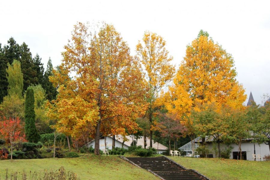 胎内フラワーパーク 新潟の観光スポット 公式 新潟県のおすすめ観光 旅行情報 にいがた観光ナビ