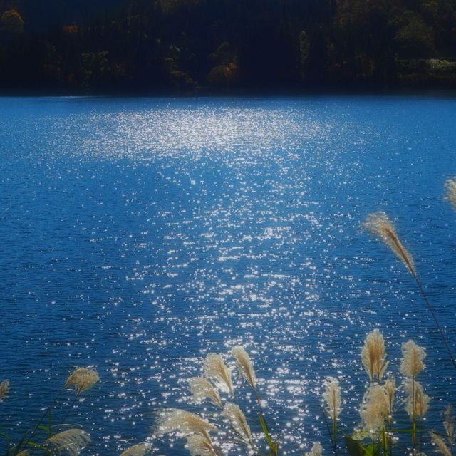 坊ヶ池湖畔公園