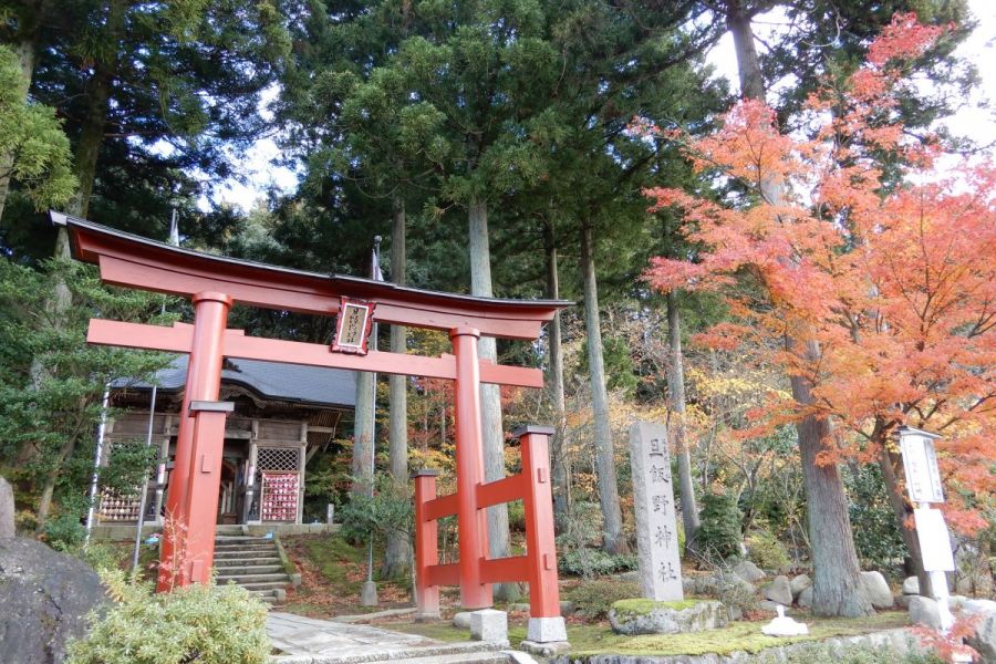 旦飯野神社｜新潟の観光スポット｜【公式】新潟県のおすすめ観光・旅行