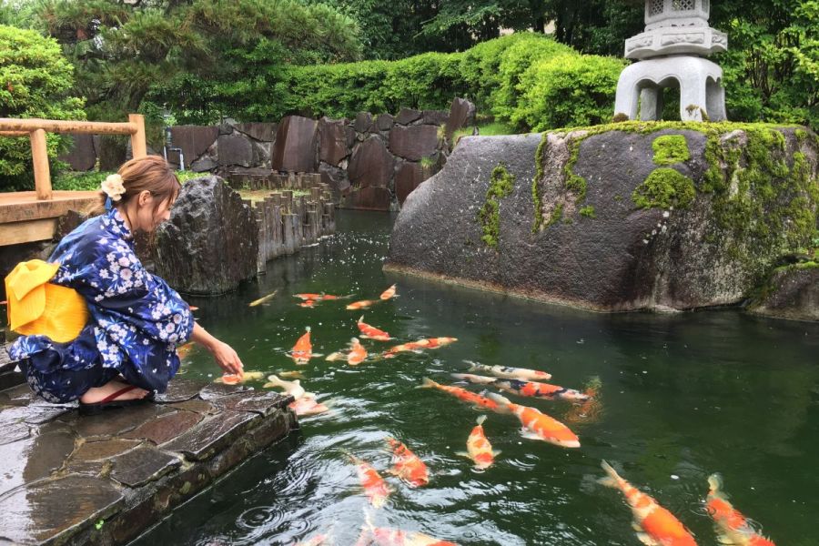 小千谷市錦鯉の里 混雑時は入場規制の可能性があります 新潟の観光スポット 公式 新潟県のおすすめ観光 旅行情報 にいがた観光ナビ