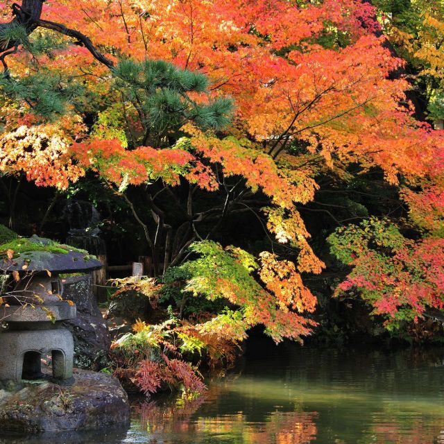 白山公園
