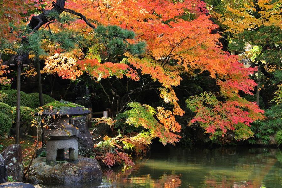 紅葉の季節、趣ある風景が心を落ち着かせる