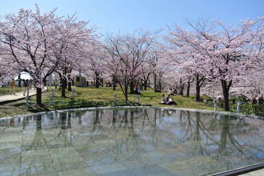 池に映し出される橋と紅葉が美しい