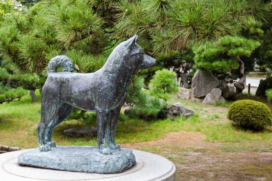 忠犬タマ公の像