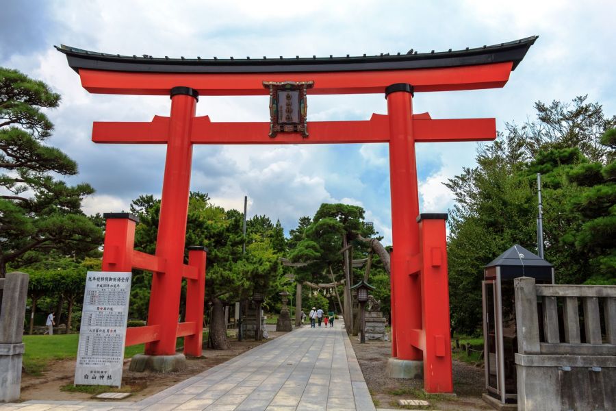 新潟総鎮守白山神社の隣にある公園です。