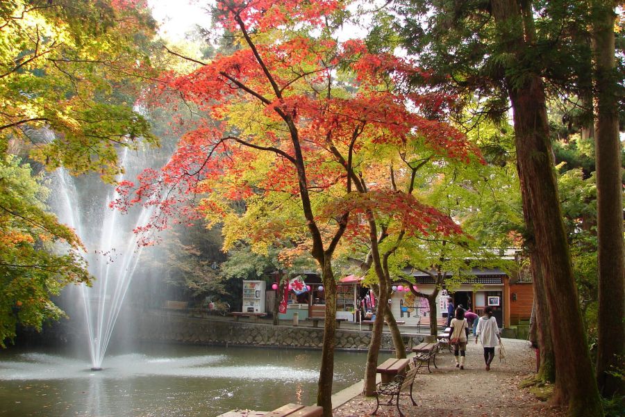 紅葉の加茂山公園を散策
