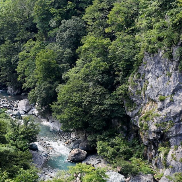 大型バスでは行けない“秘境小滝川ヒスイ峡”