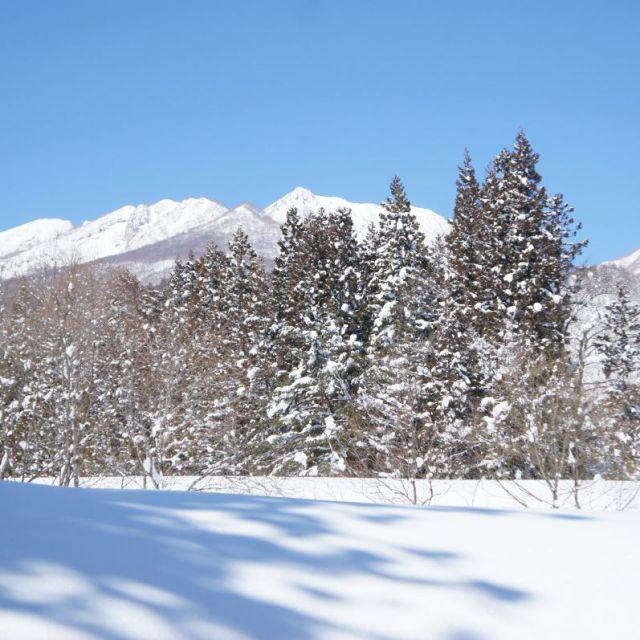 妙高雪景色