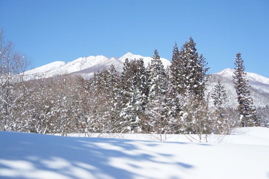 妙高雪景色