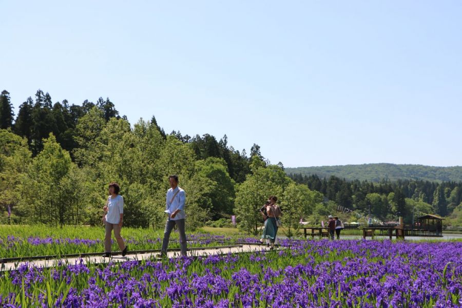 柏崎・夢の森公園｜新潟の観光スポット｜【公式】新潟県のおすすめ観光