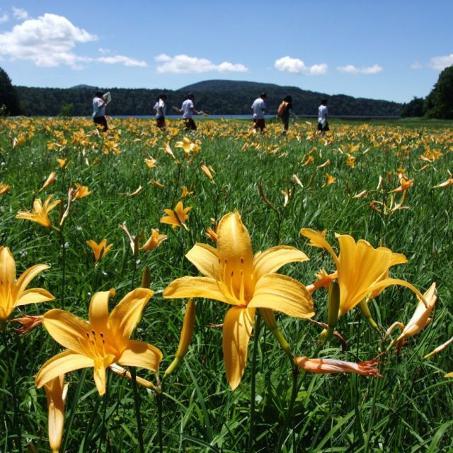 尾瀬国立公園