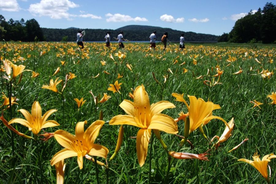 尾瀬国立公園 新潟の観光スポット 公式 新潟県のおすすめ観光 旅行情報 にいがた観光ナビ