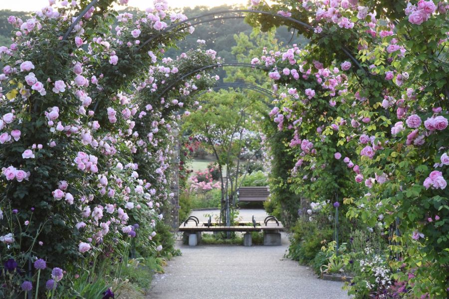 四季折々の花々を観賞できます。