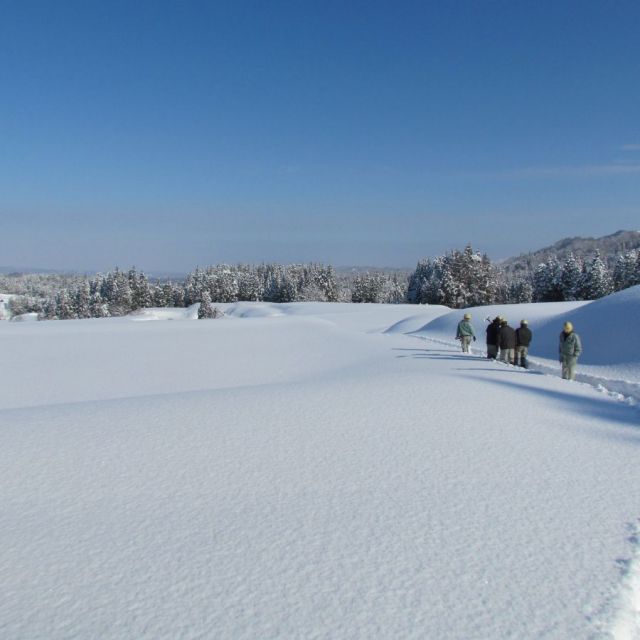 雪原（長岡市栃尾地域）