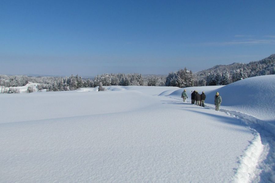 雪原（長岡市栃尾地域）