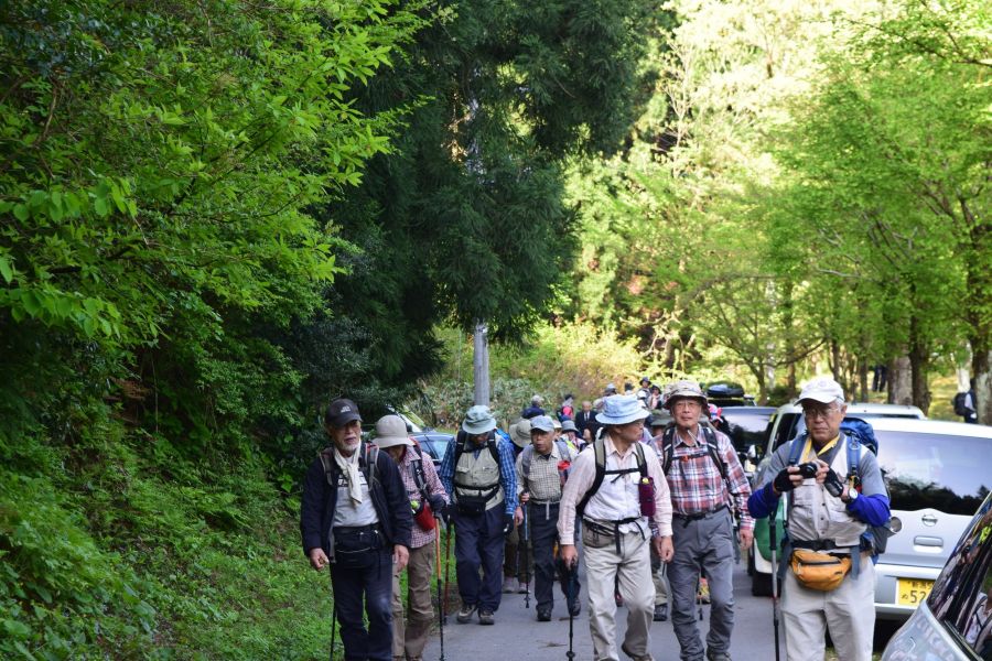 櫛形山登山