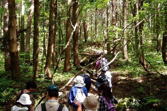 里山の探検観察