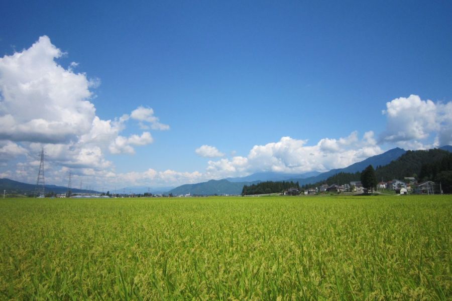 和風いん越路 新潟の観光スポット 公式 新潟県のおすすめ観光 旅行情報 にいがた観光ナビ