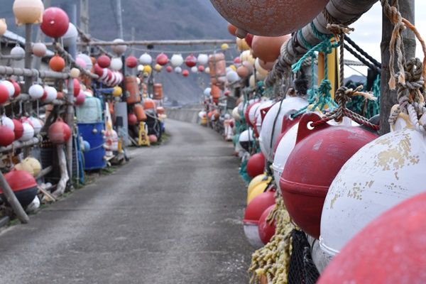 外海府のパワースポット岩谷口で地元漁師の豪快メシ 根もずく丼 をいただく さどん ぽ岩谷口 新潟の体験 公式 新潟県のおすすめ観光 旅行情報 にいがた観光ナビ