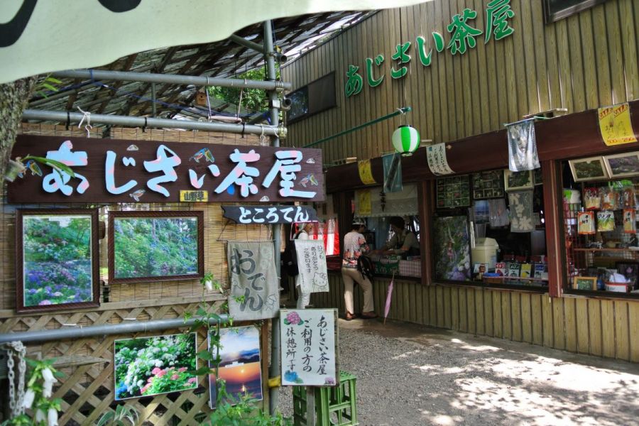 護摩堂山・護摩堂山登山口｜新潟の観光スポット｜【公式】新潟県のおすすめ観光・旅行情報！にいがた観光ナビ