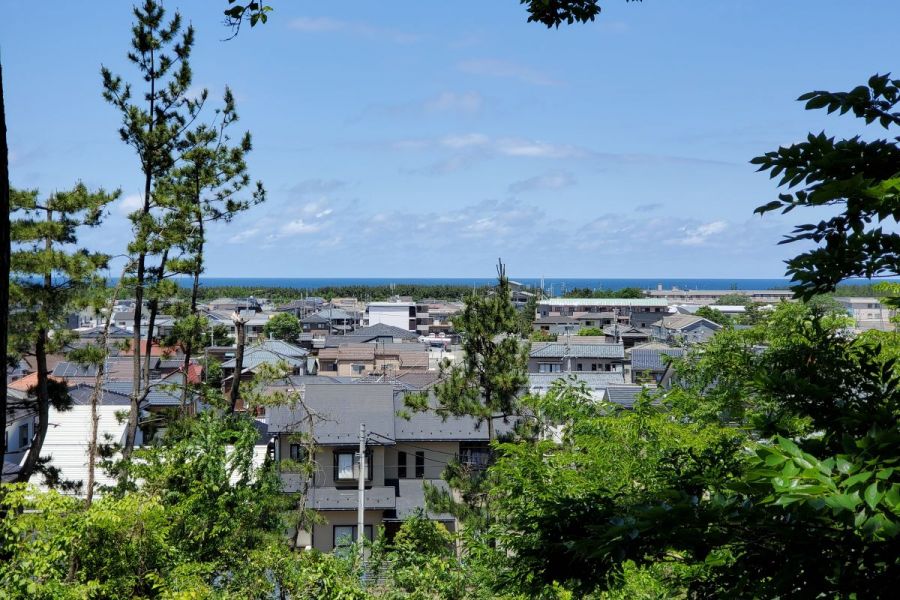 日本海を望む