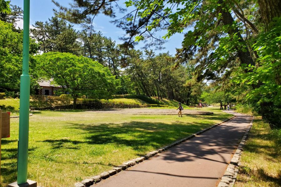 寺尾中央公園 ロケ地検索 新潟ロケーションガイド 公式 新潟県のおすすめ観光 旅行情報 にいがた観光ナビ