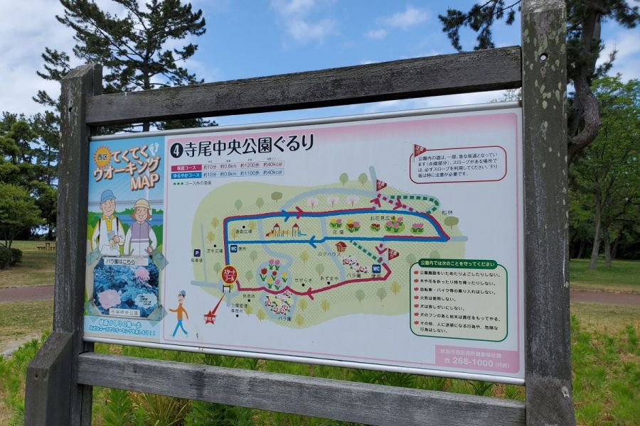 寺尾中央公園 ロケ地検索 新潟ロケーションガイド 公式 新潟県のおすすめ観光 旅行情報 にいがた観光ナビ