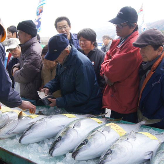 佐渡 海府 寒ぶり大漁まつり