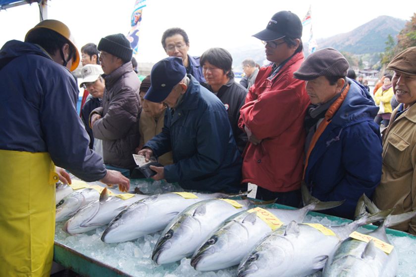 佐渡 海府 寒ぶり大漁まつり