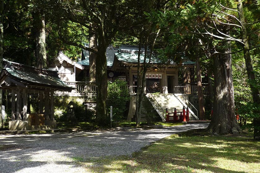 境内は鬱蒼とした木々に囲まれています。