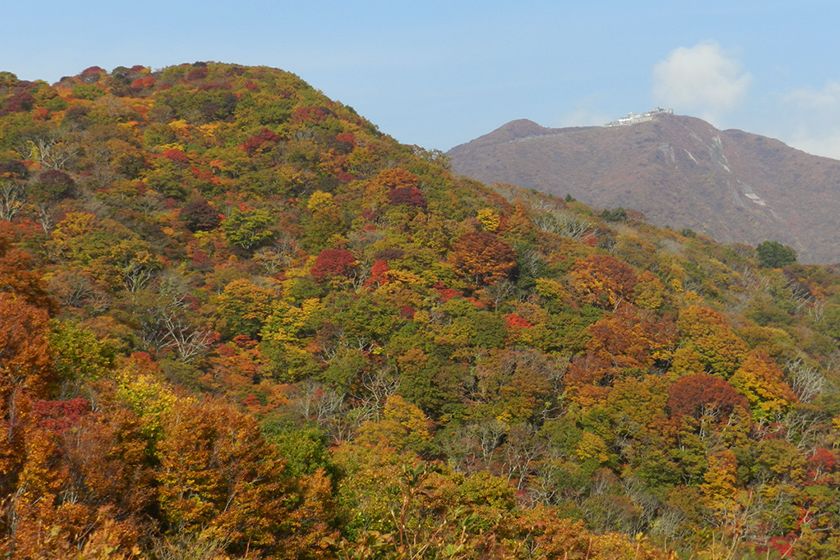 佐渡最高峰・金北山を望みます。