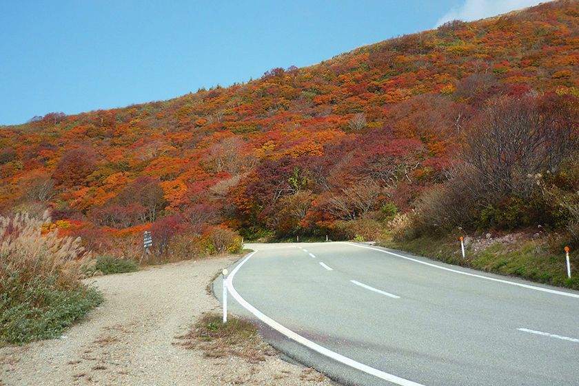 佐渡屈指の観光道路。