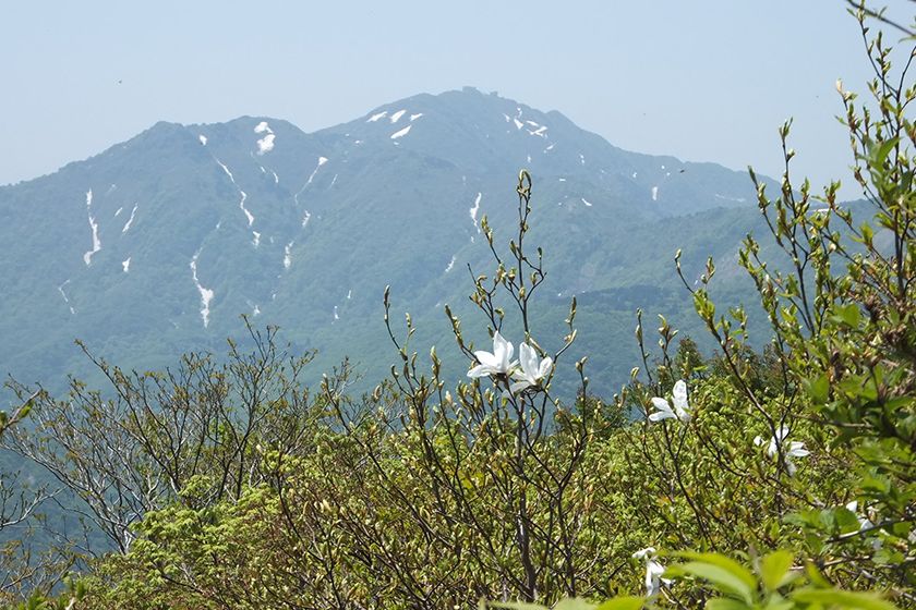 冬季は閉鎖の大佐渡スカイラインは、雪解けの4月に開通します。