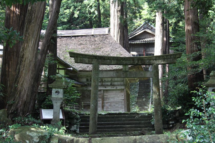 杉の巨木が林立する荘厳な雰囲気に包まれています。