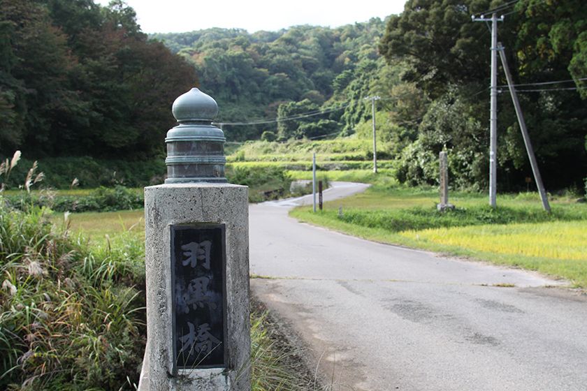 緑深い安養寺集落に鎮座しています。