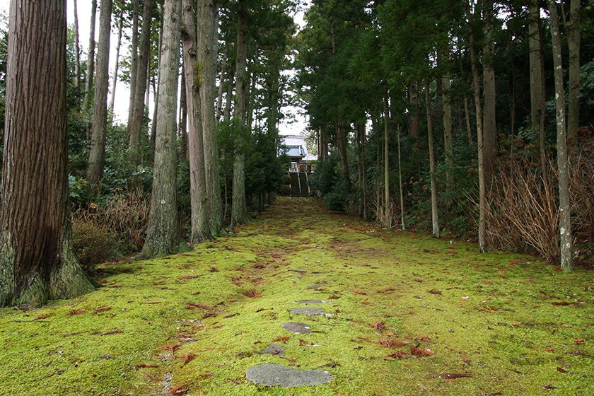 苔むした参道が続いています。