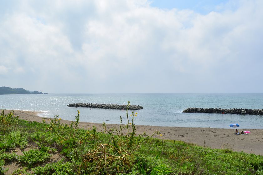 ハマナスなどの豊かな海岸植物も魅力