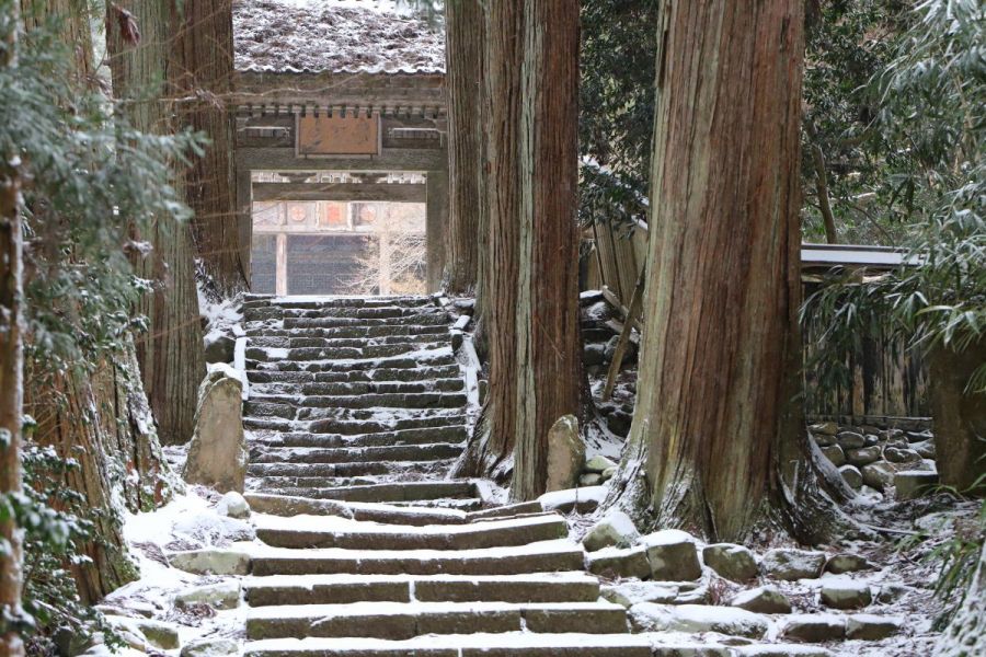 静寂に包まれる救世殿の雪景色。