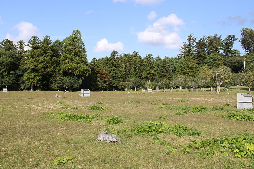 整備された史跡公園になっています。