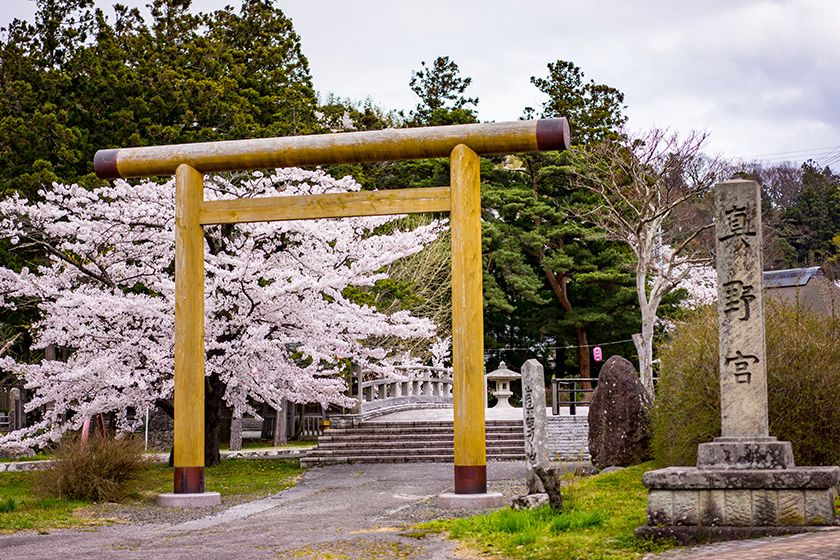 桜の名所・真野公園に隣接しています。