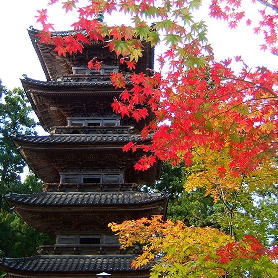 妙宣寺