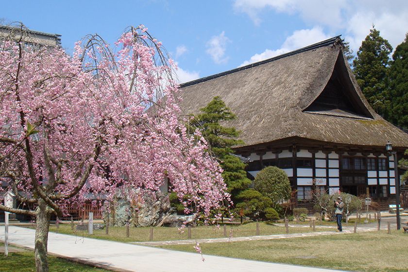 庫裏を望む春の光景。