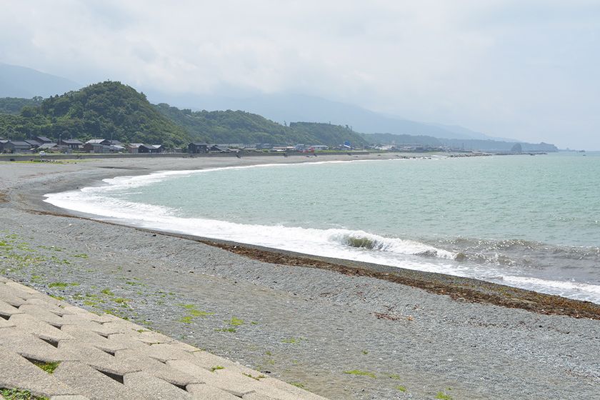 夏にはビーチパラソルの花が咲く入崎海水浴場