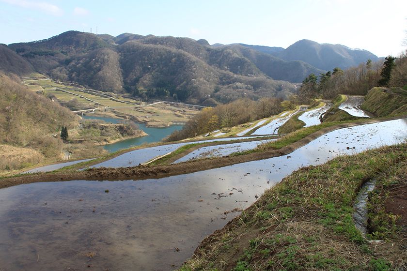 田植えを待つ春の千枚田。