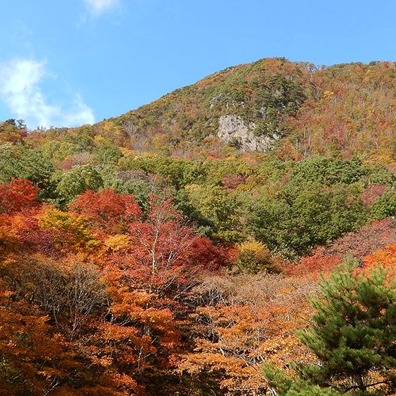 紅葉山