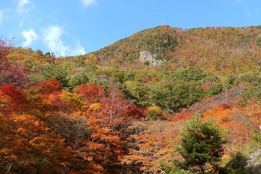 女神山の紅葉風景。