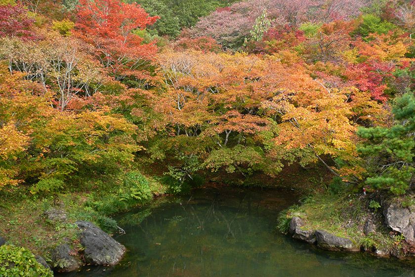 紅葉山公園の鏡池。