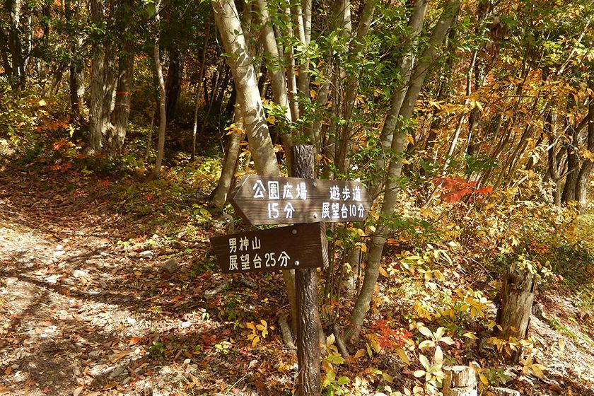 地元ボランティア 「紅葉山を愛する会」が周辺を整備しています。