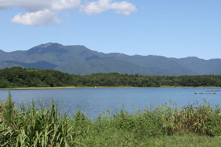 加茂湖の春景色。