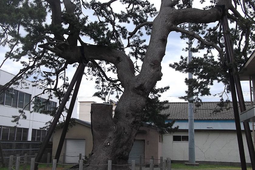 江戸時代には御番所が置かれていました。